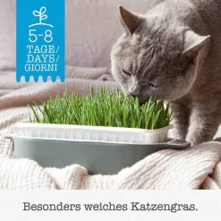 Gimpet Soft Gras für Katzen, 100 g