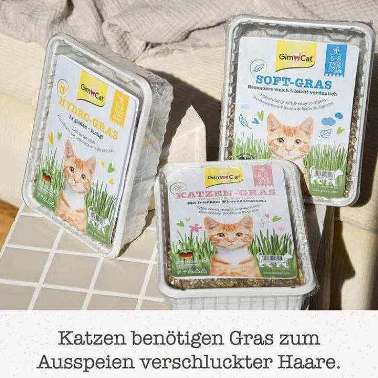 Gimpet Soft Gras für Katzen, 100 g