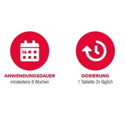 New GINKGO AL 120 mg Filmtabletten, 120 St Ginkgo