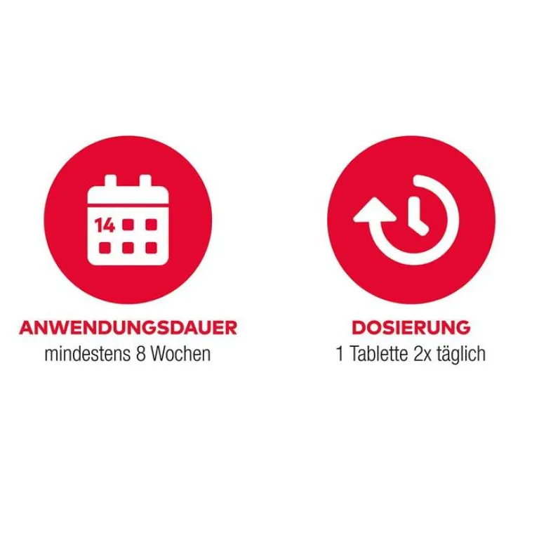 New GINKGO AL 120 mg Filmtabletten, 120 St Ginkgo