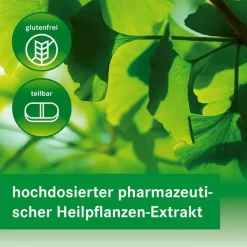 Online GINKGOVITAL 240 mg Filmtabletten, 30 St Ginkgo|Durchblutungs Tabletten