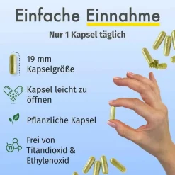 Best Green Naturals Jod aus Bio-Kelp 200 µg Kapseln, 365 St