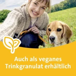 Online C Hartkapseln bei Erkältung, 2x24 St Grippemittel