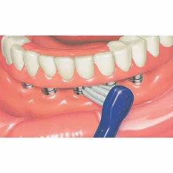 Best GuM Büschelbürste, 1 St