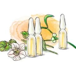 New A® 30 mg Ampullen, 8 St Mistelpräparate