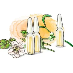 Online Helixor A Serienpackung I, 7 St