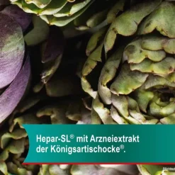 Outlet Hepar-SL ® 640 mg Filmtabletten, 100 St