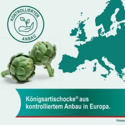 ® 320 mg Hartkapseln, 50 St Verdauung|Galle Medikamente