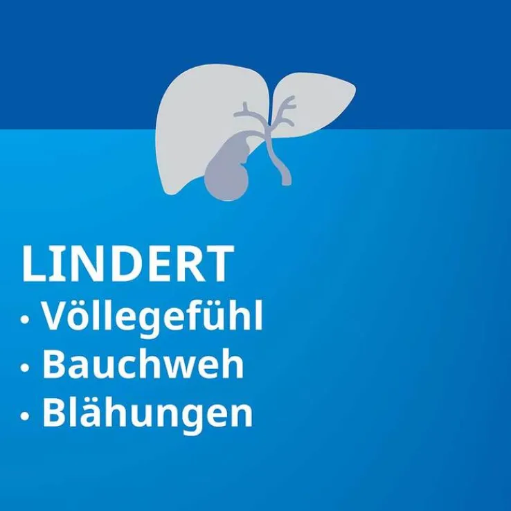 Heparstad® Artischocken, 100 St