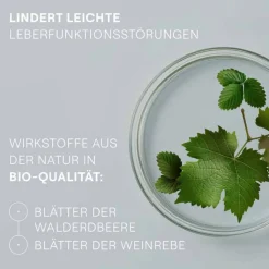 Hepatodoron Tabletten, 200 St