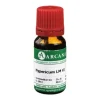 Discount Hypericum LM 6 Dilution, 10 ml E-L|H