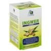 Online Avitale Ingwer 500 mg Kapseln + Vitamin B1 + C, 90 St