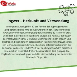 New Ingwer Extrakt Kapseln, 120 St Verdauung