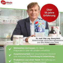 New Ingwer Extrakt Kapseln, 120 St Verdauung