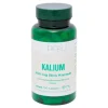 Hot Kalium 200 mg Bios Kapseln, 100 St Kalium