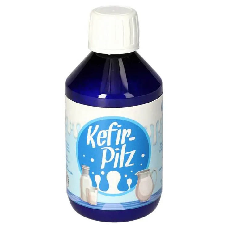 Kefir Pilz zur Bereitung aus Milch, 1 St