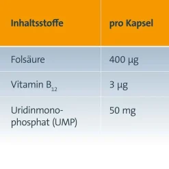 New , 20 St Hirnleistung & Nerven