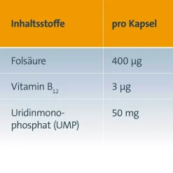 Online , 2X80 St Hirnleistung & Nerven