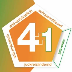 Ketozolin 2 % Shampoo , 2x120 ml