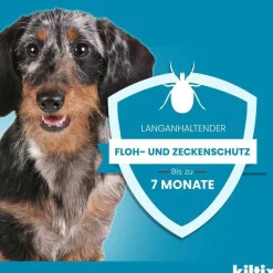 Clearance Kiltix für mittelgroße Hunde Halsband, 1 St