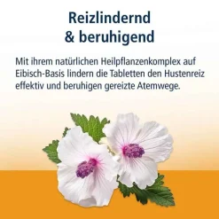 Klosterfrau Reizhusten Lutschtabletten, 24 St