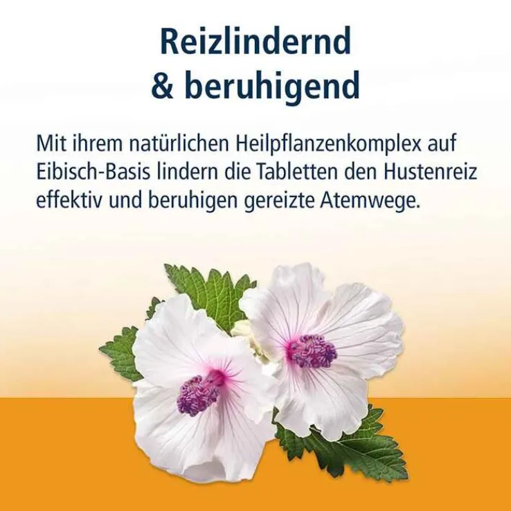 Klosterfrau Reizhusten Lutschtabletten, 24 St