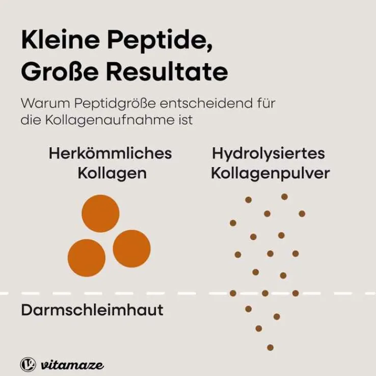 Kollagen Pulver + Biotin + Vitamin C, 480 g