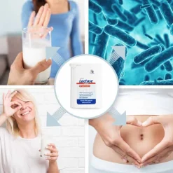 Discount Avitale Lactase 14000 FCC Tabletten im Spender, 80 St