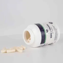 L-Carnitin 500 mg mit Vitamin C Kapseln, 100 St L-Carnitin|Aminosäuren