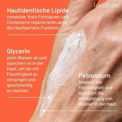 Repair Creme de / AT, 100 g Cremes & Balsame