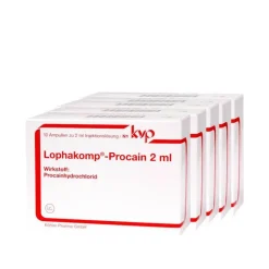Online Lophakomp Procain 2 ml Injektionslösung, 50X2 ml Procain