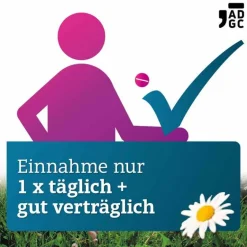 New LORA- Tabletten, 100 St Allergie Medikamente|Allergie Tabletten