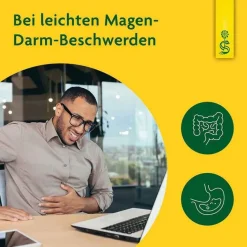 Sale Schoenenberger Löwenzahn Saft HPS, 3X200 ml