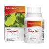 Hot Mantra Ginkgo OPC Kapseln, 90 St