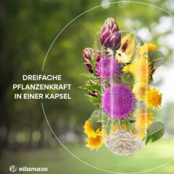 Outlet Mariendistel Komplex Artischocke + Löwenzahn veg.Kps, 90 St Verdauung