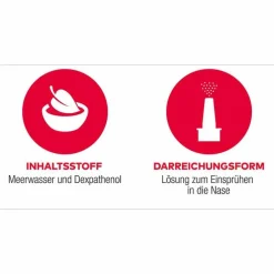 Meerwasser AL Plus Nasenspray, 20 ml
