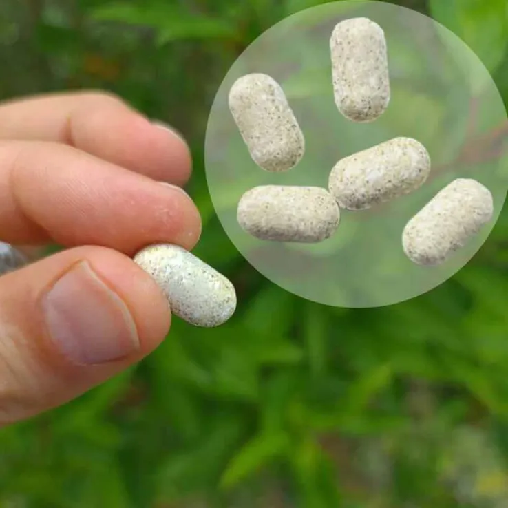 Melissen Basentabletten, 250 St