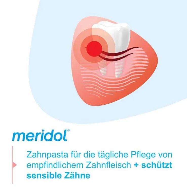 Meridol Rundumpflege Zahnpasta, 75 ml