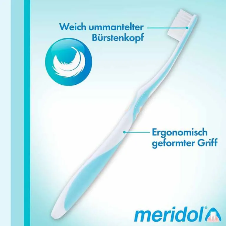 Discount Meridol Zahnbürste, 1 St