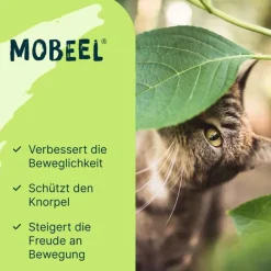 Sale Mobeel Ergänzungsfuttermittel Pulver für Hunde / Katzen, 150 g