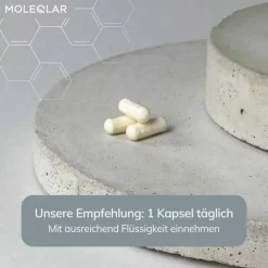 Longevity NR + Nicotinamid Kapseln, 30 St Vitamin B3 (Niacin)