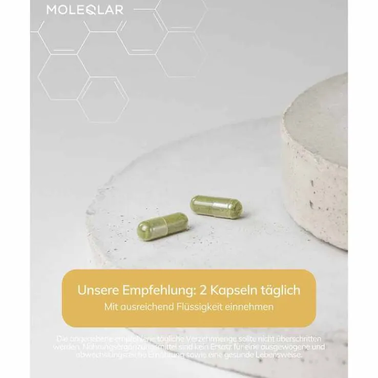 Moleqlar Spermidin Kapseln, 60 St