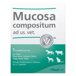 Sale Heel Mucosa Compositum Ampullen vet. (für Tiere), 5X5 ml