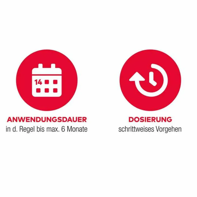 NICOTIN AL 1mg/Sprühstoß Spray, 2x2 St Nikotinspray Und Inhaler