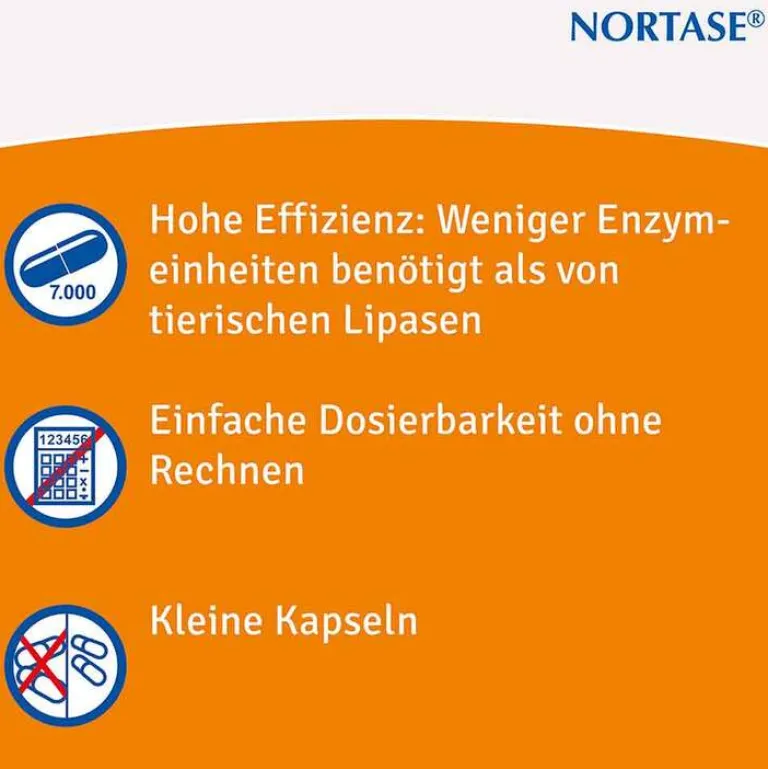 Discount Nortase Kapseln vegetarische Verdauungsenzyme, 20 St