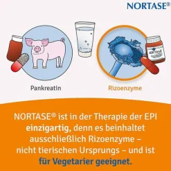 NORTASE Kapseln vegetarische Verdauungsenzyme, 200 St
