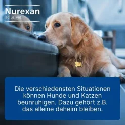 Nurexan ad us. vet. Tabletten , 100 St