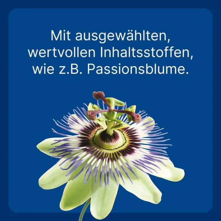 Nurexan LT ad us. vet. Tabletten, 500 St