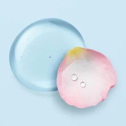 Discount Nuxe Very Rose Mizellen-Reinigungswasser tro.Haut, 200 ml