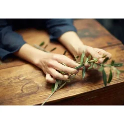 New Augencreme Hydroxytyrosol Corrective, 30 ml Augenpflege